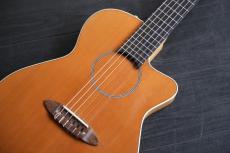 Carruthers Guitars ACN High-end  極上エレガット_3