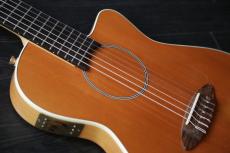 Carruthers Guitars ACN High-end  極上エレガット_5