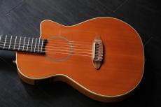 Carruthers Guitars ACN High-end  極上エレガット_8