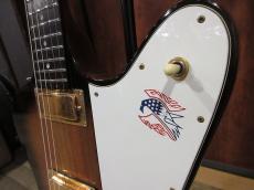 Gibson 1976 Firebird Bicentenial Edition Sunburst_3