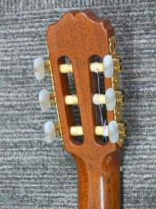Takamine No.15_8