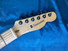 FERNANDES TE-85T_5