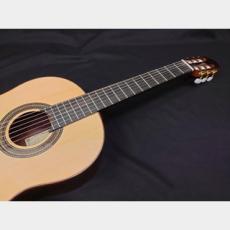 ARIA ARIA A-70S-63_6