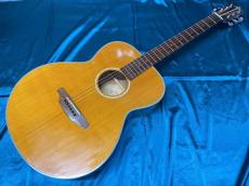 ARIA Meister AMS-02N