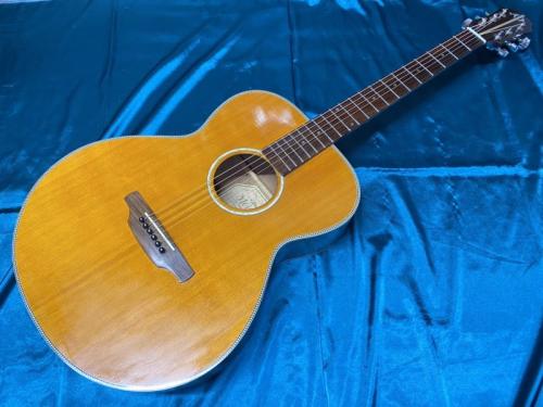 ARIA Meister AMS-02N