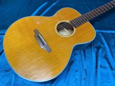 ARIA Meister AMS-02N_2