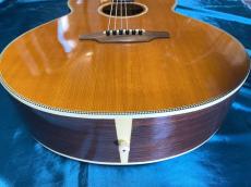 ARIA Meister AMS-02N_9