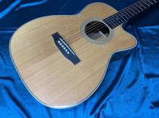 ASTURIAS Solo Series SOLO STANDARD/S_2