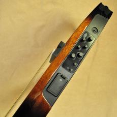 YAMAHA SLG200S_3