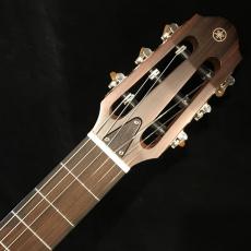 YAMAHA SLG200N_4