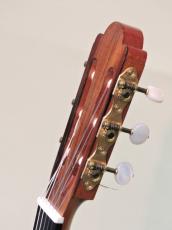 フリッツ・オベール【Fritz Ober】 Hauser 1_2