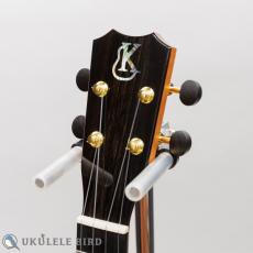 Kanile'a HNS Concert DG_5