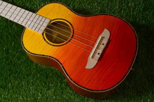 ORTEGA RUPR-TQB Tenor