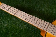 ORTEGA RUPR-TQB Tenor_7