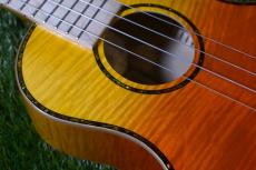 ORTEGA RUPR-TQB Tenor_9