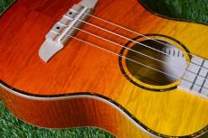 ORTEGA RUPR-TQB Tenor_10