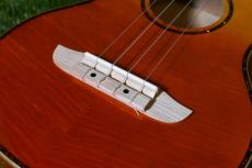 ORTEGA RUPR-TQB Tenor_11