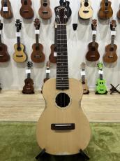 Antar German Spruce Rose Concert_2