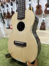 Antar German Spruce Rose Concert_3