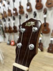 Antar German Spruce Rose Concert_4