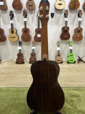 Antar German Spruce Rose Concert_5