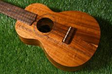 G String Concert Honu【USED】