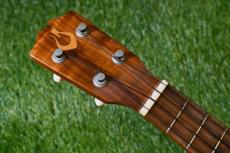 G String Concert Honu【USED】_5