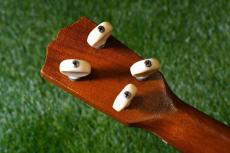 G String Concert Honu【USED】_6