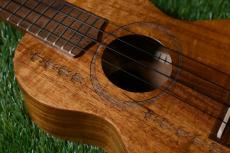 G String Concert Honu【USED】_9