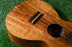 G String Concert Honu【USED】_10