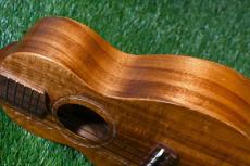 G String Concert Honu【USED】_14