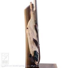 Sankey Guitars HAIKU_3