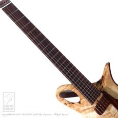 Sankey Guitars HAIKU_5