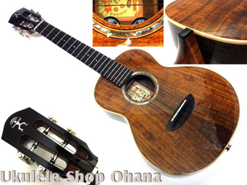 aNueNue [aNN-AAA3E]テナー TAIWANアカシア単板/PU付