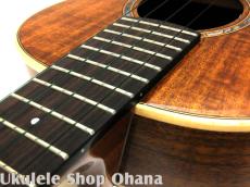 aNueNue [aNN-AAA3E]テナー TAIWANアカシア単板/PU付_15