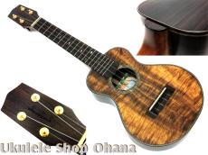 四弦舎 [ML381] リトルコンサート #26506 ハワイアンカーリーコア/インディアンローズウッド