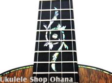 Seilen [SLTS-254] テナー ハワイアンカーリーコア スロテッドヘッド仕様 #2035_5