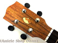 Seilen [SECF-100/OHANA] コンサート ソリッドエレキ アフリカンマホガニー Fishmanパッシブピックアップ搭載_5