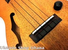 Seilen [SECF-100/OHANA] コンサート ソリッドエレキ アフリカンマホガニー Fishmanパッシブピックアップ搭載_11