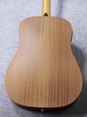 Taylor 【待望の入荷!】Academy 10e_3