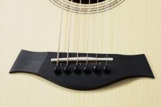 Taylor 【待望の入荷!】Academy 10e_6