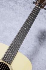 Taylor 【待望の入荷!】Academy 10e_7