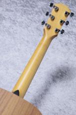 Taylor 【待望の入荷!】Academy 10e_8
