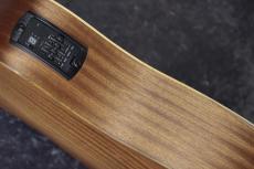 Taylor 【待望の入荷!】Academy 10e_9