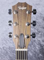 Taylor 【待望の入荷!】Academy 10e_11