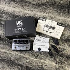 Ampeg SGT-DI_6