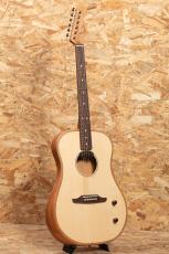 Fender HIGHWAY SERIES DREADNOUGHT NAT_2