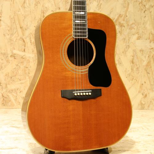 Guild D-55 NT
