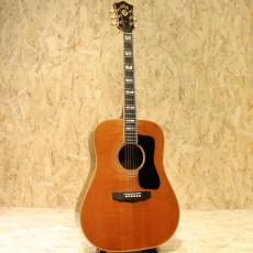 Guild D-55 NT_3