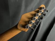 SCHECTER SD-2-24-AL-VTR-FM/RM_11